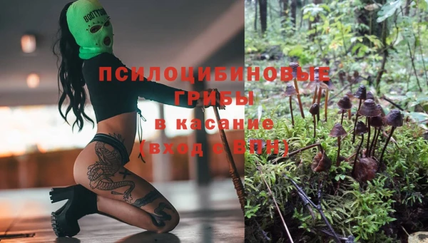 прущие грибы Волосово