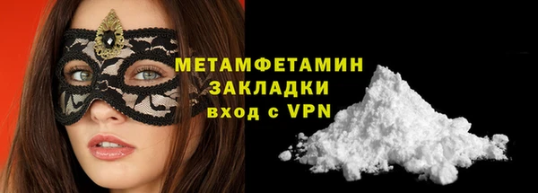 прущие грибы Волосово