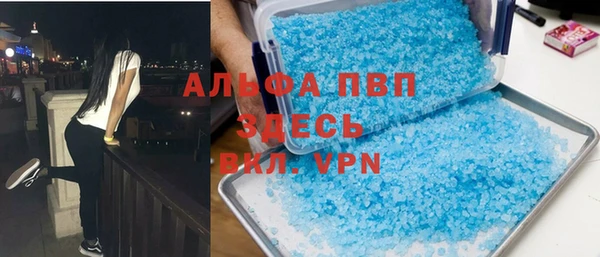 прущие грибы Волосово