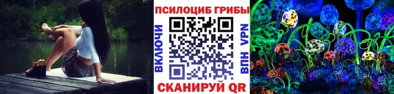 KRAKEN зеркало  Кашин  Галлюциногенные грибы MAGIC MUSHROOMS 